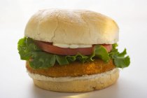 Double chicken burger with tomato — Stock Photo