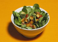 Кукурузный салат с гренками — стоковое фото