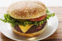 Cheeseburger con pomodoro e cetriolino — Foto stock