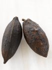 Frische Kakaoschoten — Stockfoto
