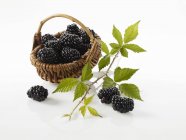 Blackberries in little basket — Stock Photo