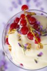 Ванильный йогурт и красная смородина — стоковое фото