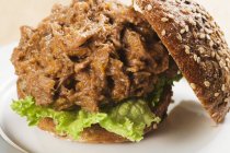 Сэндвич с измельчённым барбекю — стоковое фото