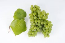 Виноград и виноградные листья — стоковое фото