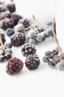 Frozen aronia berries and blackberries — Stock Photo