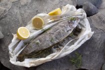 Roasted trout with dill and lemon — Stock Photo