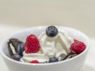 Helado de yogur en el plato - foto de stock