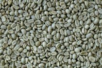 Grains de café vert — Photo de stock