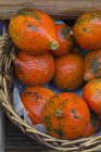 Organic Hokkaido pumpkins — Stock Photo