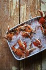 Vue de dessus des crabes sur glace dans un plat métallique — Photo de stock
