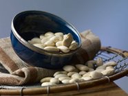 White beans in bowl — Stock Photo