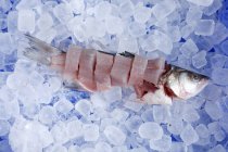 Pesce fresco a fette su ghiaccio — Foto stock