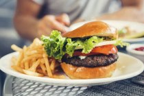 Cheeseburger und Chips auf Teller — Stockfoto