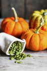 Arrangement of pumpkins and seeds — Stock Photo