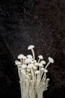 Enokitake mushrooms against a black — Stock Photo