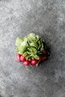 Bundle of fresh radishes — Stock Photo