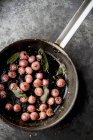 Top view of fried radishes with sage and lemon zest — Stock Photo