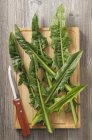 Chicory leaves on a wooden board — Stock Photo