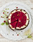 Torta de fresa y flor de saúco silvestres - foto de stock
