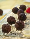 Rum truffles with chocolate — Stock Photo