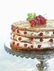 Redcurrant layer cake — Stock Photo