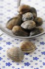 Вид крупным планом на моллюсков на тарелке и поблизости — стоковое фото
