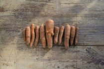 Fila de zanahorias orgánicas - foto de stock
