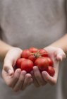 Mani che tengono i pomodori — Foto stock