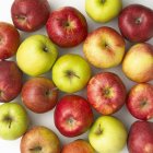 Raw fresh apples — Stock Photo