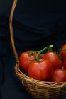 Tomates fraîches dans le panier — Photo de stock