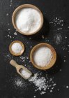 Various different types of salt — Stock Photo