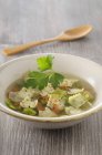 Sopa de verduras transparente con ravioles - foto de stock