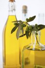 Ramita de aceitunas en botella de aceite de oliva - foto de stock