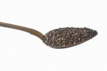 Spoonful of chia seeds — Stock Photo