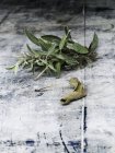 Fresh and dried Sage — Stock Photo