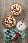 Tartlets with blueberries and currants — Stock Photo