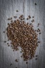 Granos de café frescos crudos - foto de stock