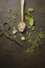 Ingredientes el té de hierbas - foto de stock