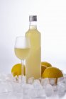 Vista de cerca de Limoncello di Sorrento Licor de limón italiano con botella, vidrio, cubitos de hielo, bebidas , - foto de stock