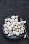 Fresh mushrooms on a plate — Stock Photo