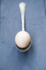 Свежее яйцо на винтажной ложке — стоковое фото
