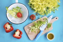 Різні інгредієнти салату — стокове фото
