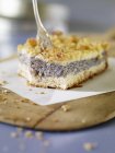 Gâteau aux graines de pavot — Photo de stock