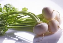 White turnips with stalks — Stock Photo