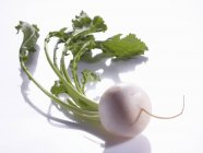White turnip with stalk — Stock Photo