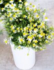 Elevated view of Chamomile flowers bouquet in pot — Stock Photo