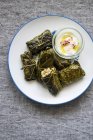 Stuffed vine leaves with a yoghurt dressing  on white plate — Stock Photo