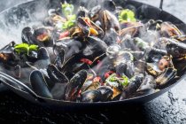 Steaming mussels with spices — Stock Photo