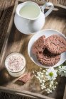 Bolachas de chocolate e leite fresco — Fotografia de Stock