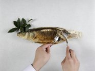 Mains tenant morceau de poisson basse avec cuillère et fourchette sur basse avec herbe sur surface blanche — Photo de stock
